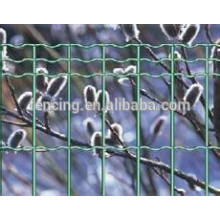 Galvanized low carbon iron Euro fence panels/China supplier euro fence panels